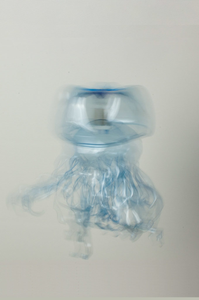 Medusen Kunstobjekte und Kunststoff – Upcycling