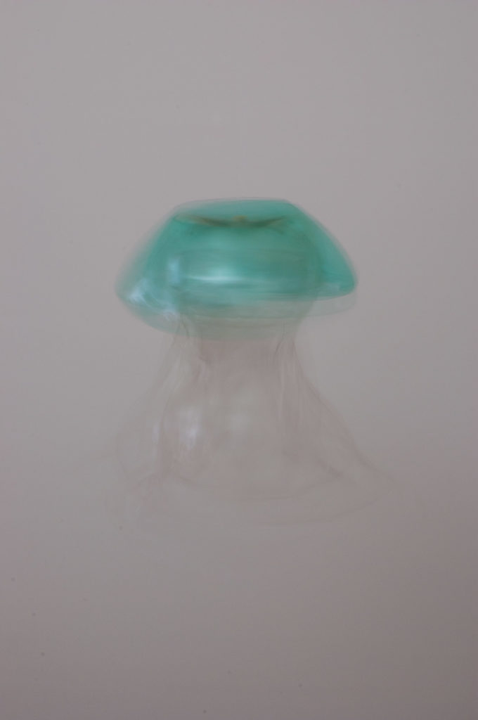 Medusen Kunst & Kunststoff – Upcycling Art