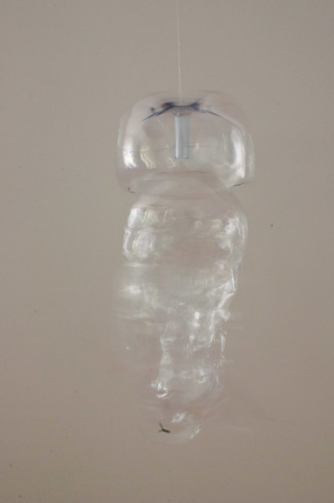 Medusen Kunstobjekte und Kunststoff – Upcycling